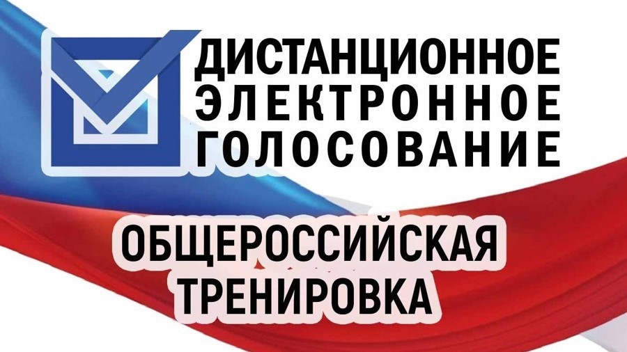С 1 по 24 ноября 2023 года во всех субъектах Российской Федерации проводится основной этап общероссийской тренировки дистанционного электронного голосования.